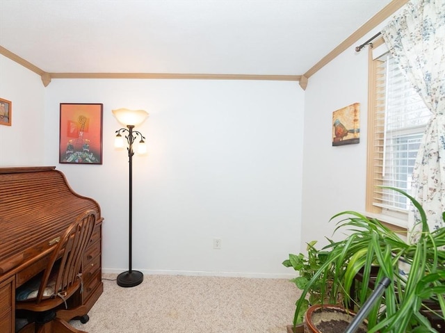 carpeted office with ornamental molding