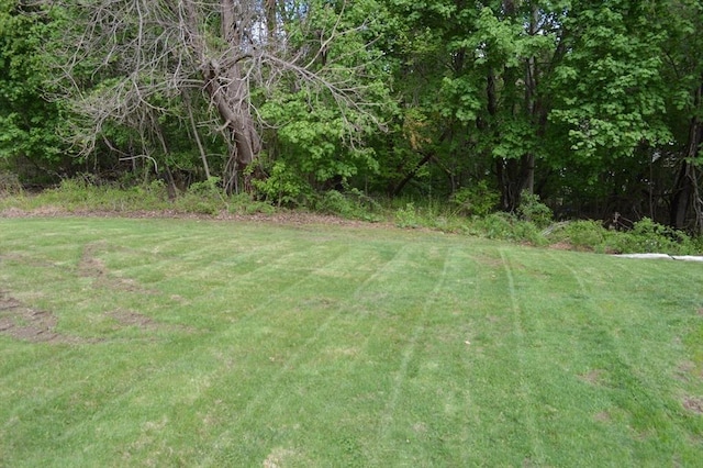 view of grassy yard