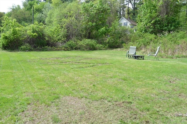 view of green lawn