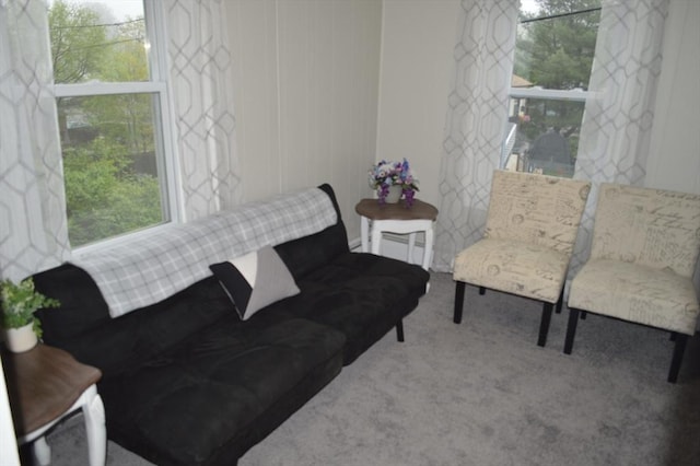 living area featuring carpet floors