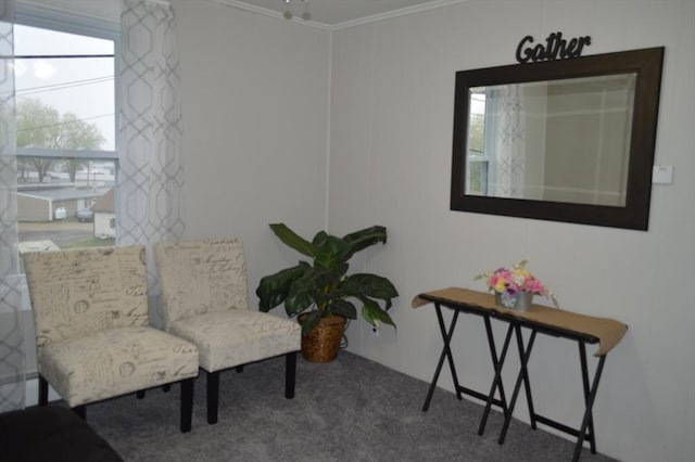 living area featuring ornamental molding and carpet