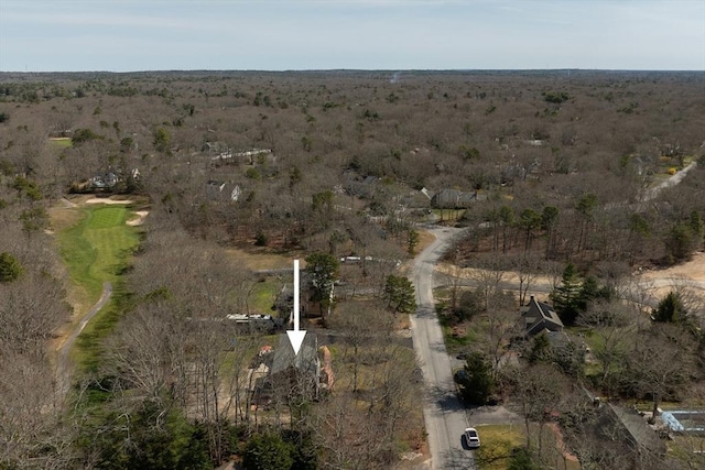 drone / aerial view