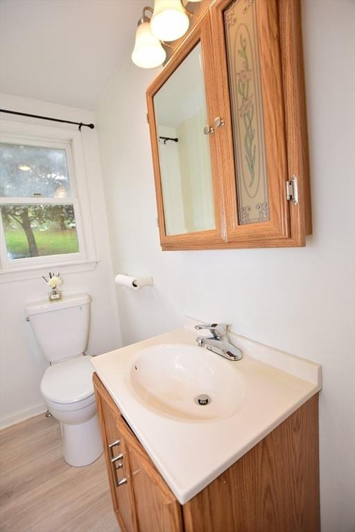 bathroom with vanity, toilet, and wood finished floors