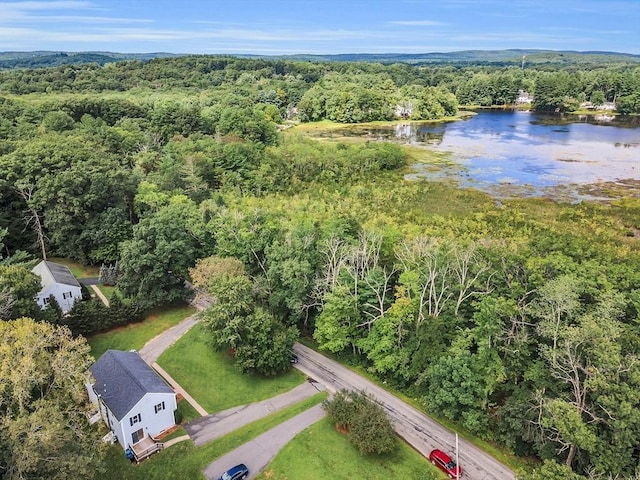 drone / aerial view of a forest and a nearby body of water