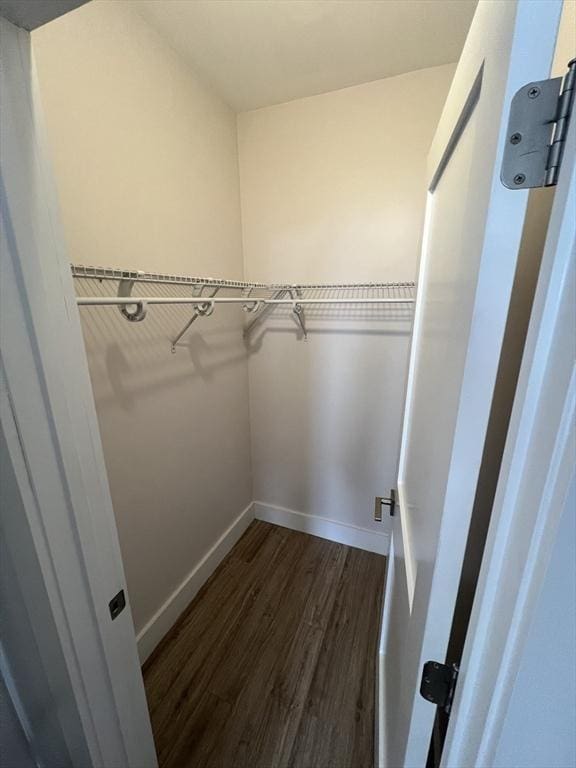 spacious closet featuring dark wood-style flooring