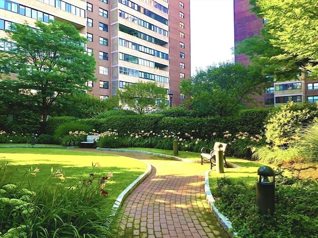 view of community with a lawn