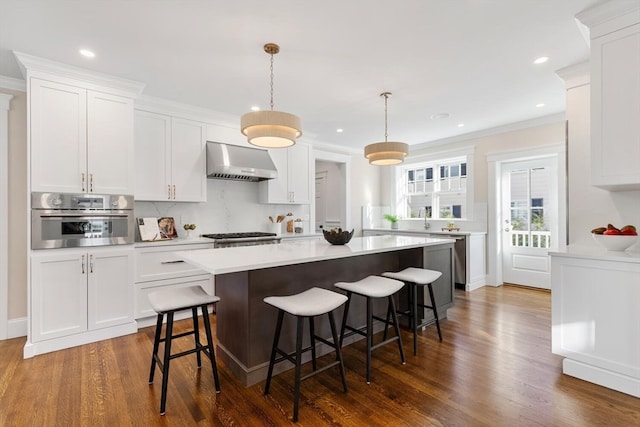 kitchen featuring extractor fan, stainless steel appliances, and white cabinetry