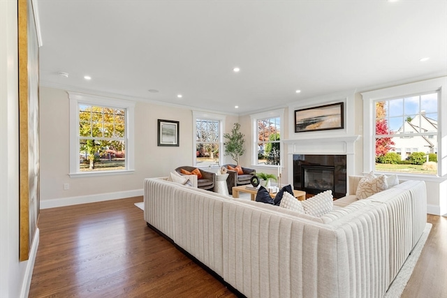 living room featuring plenty of natural light, dark wood-type flooring, and crown molding