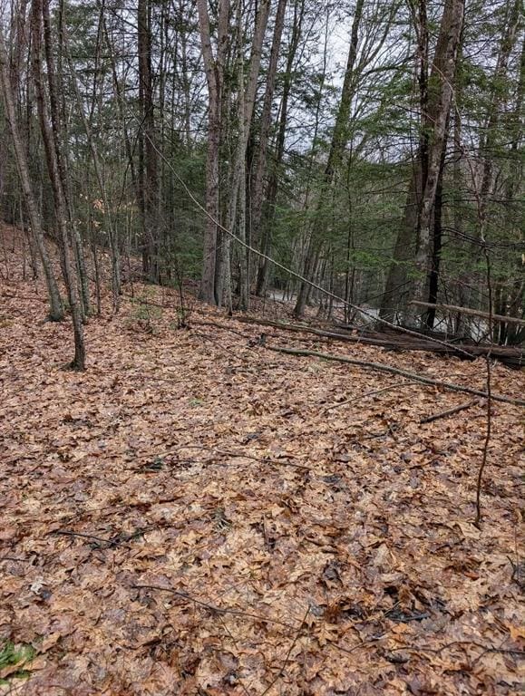 111 Keets Brook Rd, Bernardston, MA 01337