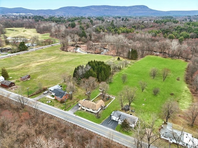 birds eye view of property with a mountain view