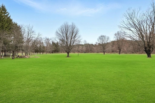 view of community featuring a yard