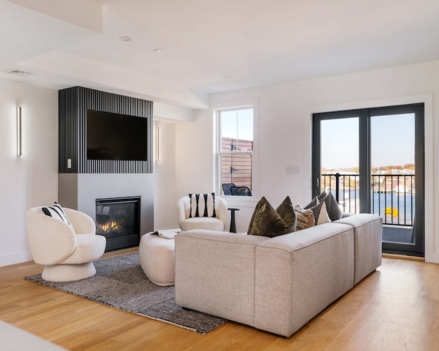 living room featuring light hardwood / wood-style floors