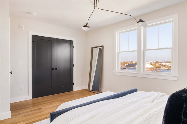 bedroom with hardwood / wood-style flooring and a closet