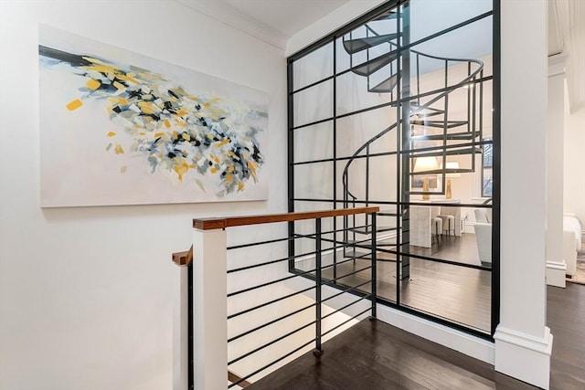 stairway with hardwood / wood-style floors and ornamental molding