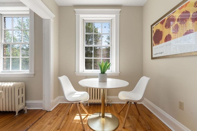 854 Massachusetts Ave Unit 11, Cambridge, MA 02139 - dining room featuring radiator, hardwood / wood-style floors, and baseboards