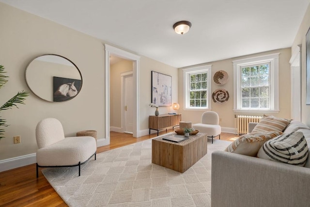 854 Massachusetts Ave Unit 11, Cambridge, MA 02139 - living room featuring radiator, light wood finished floors, and baseboards