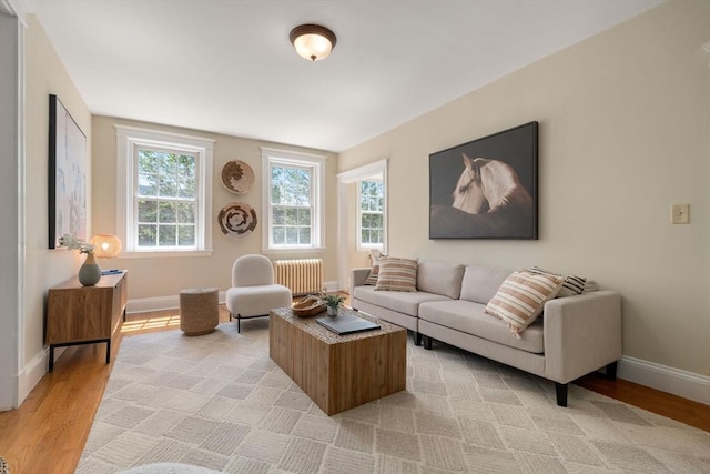 854 Massachusetts Ave Unit 11, Cambridge, MA 02139 - living area featuring radiator, light wood-style flooring, healthy amount of natural light, and baseboards