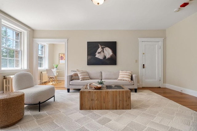 854 Massachusetts Ave Unit 11, Cambridge, MA 02139 - living area featuring radiator, light wood-style floors, and baseboards