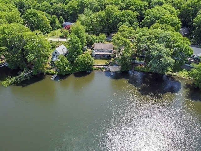 163 Walnut Rd, Wrentham, MA 02093 - bird's eye view of a large body of water and a forest