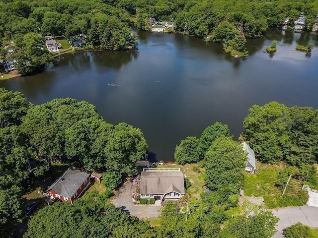 163 Walnut Rd, Wrentham, MA 02093 - view of property location with a large body of water and a forest