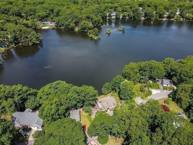163 Walnut Rd, Wrentham, MA 02093 - aerial view of property's location featuring a heavily wooded area and a nearby body of water