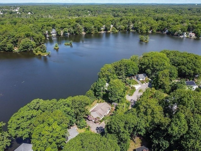 163 Walnut Rd, Wrentham, MA 02093 - aerial view of property's location featuring a forest and a nearby body of water