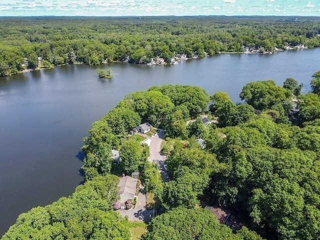 163 Walnut Rd, Wrentham, MA 02093 - aerial view of property's location featuring a forest and a nearby body of water