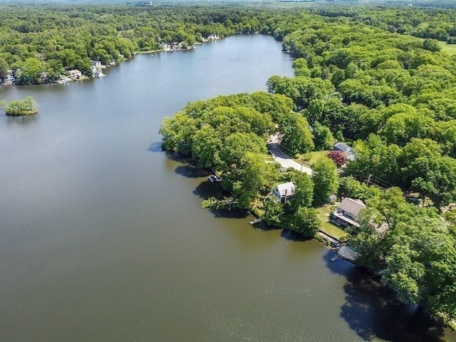 163 Walnut Rd, Wrentham, MA 02093 - aerial view of a forest and a large body of water