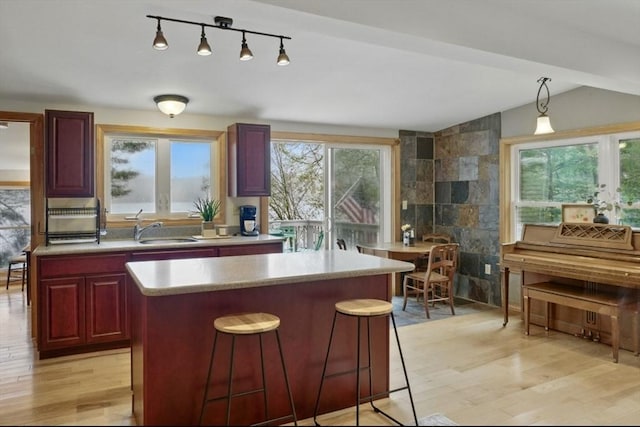 kitchen with dark brown cabinets, a sink, light wood finished floors, light countertops, and a center island