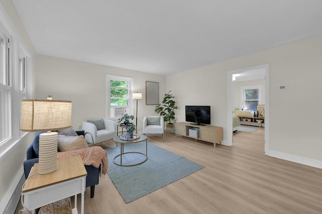 195 Pompeo Rd, Thompson, CT 06255 - living room featuring light wood-type flooring and baseboards