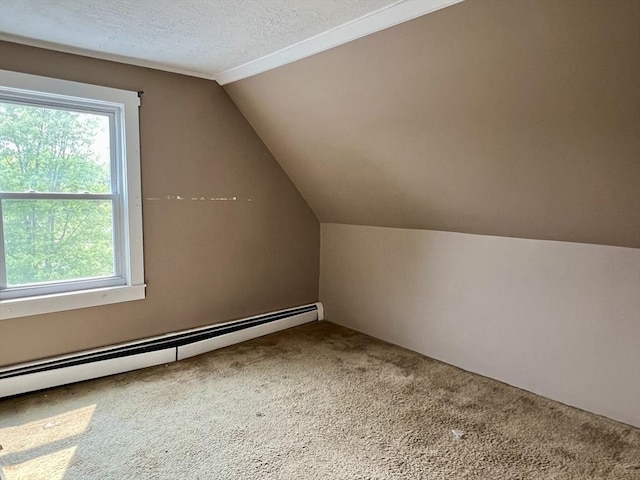 38 Clark St, Medway, MA 02053 - bonus room featuring a baseboard radiator, carpet, lofted ceiling, and a textured ceiling
