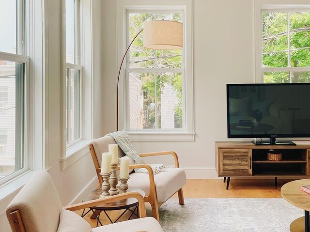 details with hardwood / wood-style floors