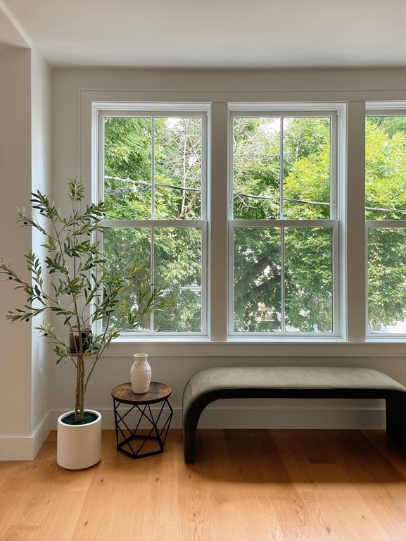 sitting room featuring light hardwood / wood-style flooring