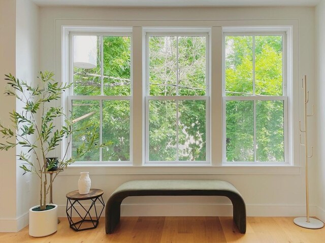 living room featuring hardwood / wood-style floors