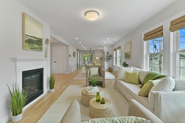 176 Medford St Unit 176, Arlington, MA 02474 - living room featuring light wood-style floors, recessed lighting, and a glass covered fireplace