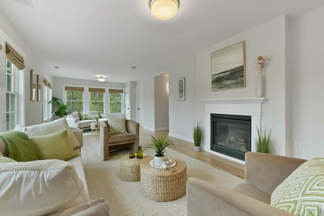 176 Medford St Unit 176, Arlington, MA 02474 - living area featuring light wood-type flooring and a glass covered fireplace