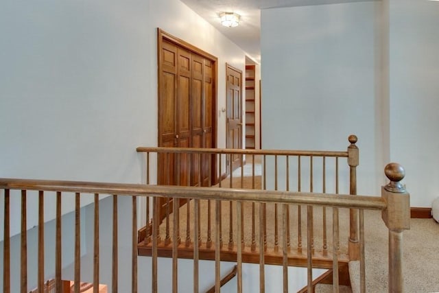 46 Baremeadow St, Methuen, MA 01844 - stairs featuring carpet