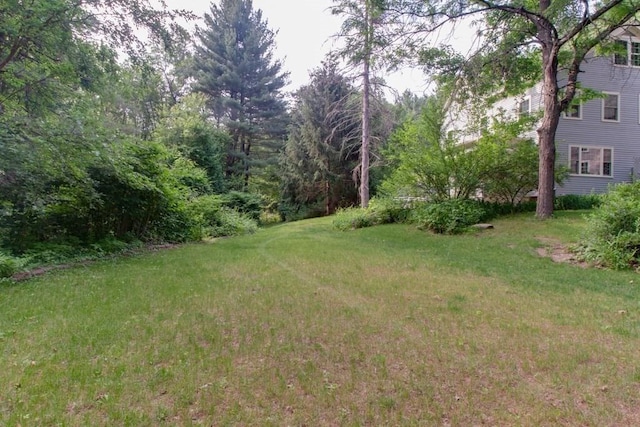 46 Baremeadow St, Methuen, MA 01844 - view of green lawn