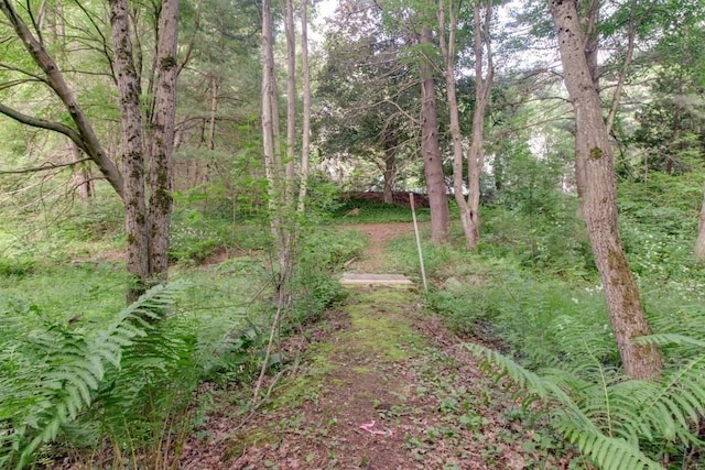 46 Baremeadow St, Methuen, MA 01844 - view of yard with a view of trees