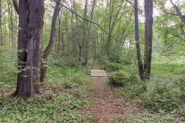 46 Baremeadow St, Methuen, MA 01844 - view of yard with a wooded view