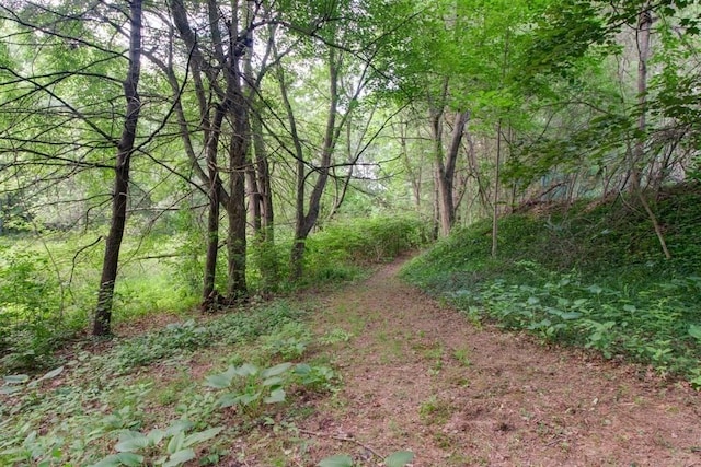 46 Baremeadow St, Methuen, MA 01844 - view of wooded area