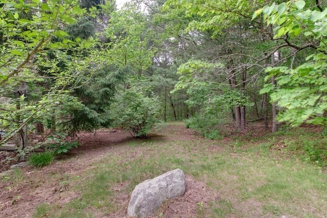46 Baremeadow St, Methuen, MA 01844 - view of yard featuring a wooded view