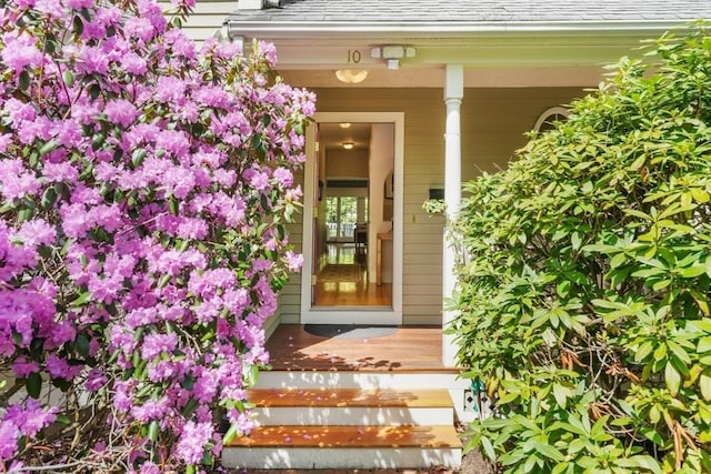 property entrance featuring a shingled roof and covered porch
