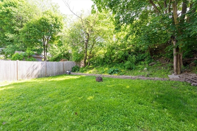258-260 Pleasant St, Lowell, MA 01852 - view of yard
