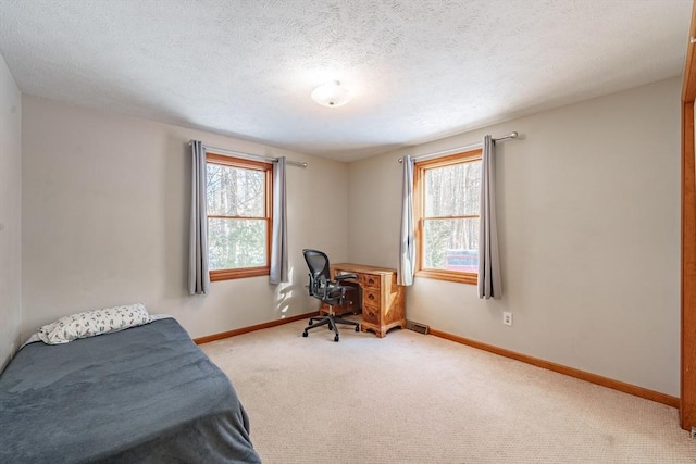 bedroom featuring multiple windows, carpet flooring, and a textured ceiling