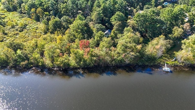 6 Edgehill Rd, Billerica, MA 01862 - view of property location with a forest and a nearby body of water
