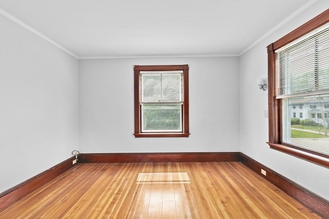 181 Myrtle St, Rockland, MA 02370 - unfurnished room featuring light wood-type flooring, baseboards, and ornamental molding