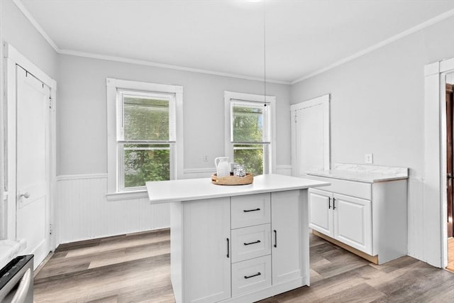 181 Myrtle St, Rockland, MA 02370 - kitchen featuring wainscoting, wood finished floors, light countertops, white cabinets, and ornamental molding