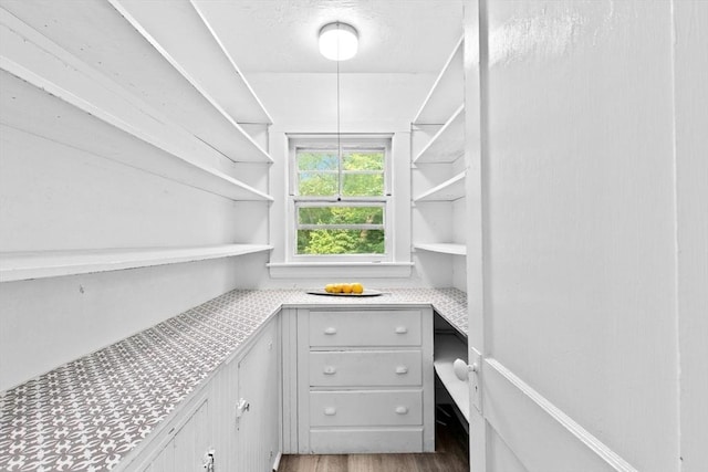 181 Myrtle St, Rockland, MA 02370 - view of pantry