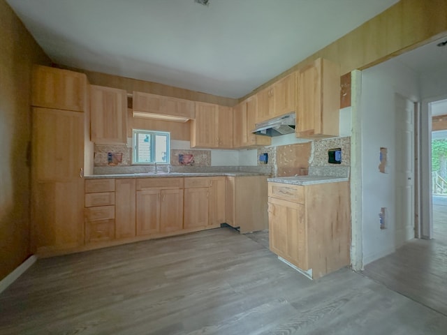 kitchen featuring light wood-type flooring, light brown cabinets, and a healthy amount of sunlight